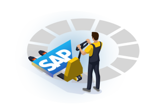 SAP-Portfolio